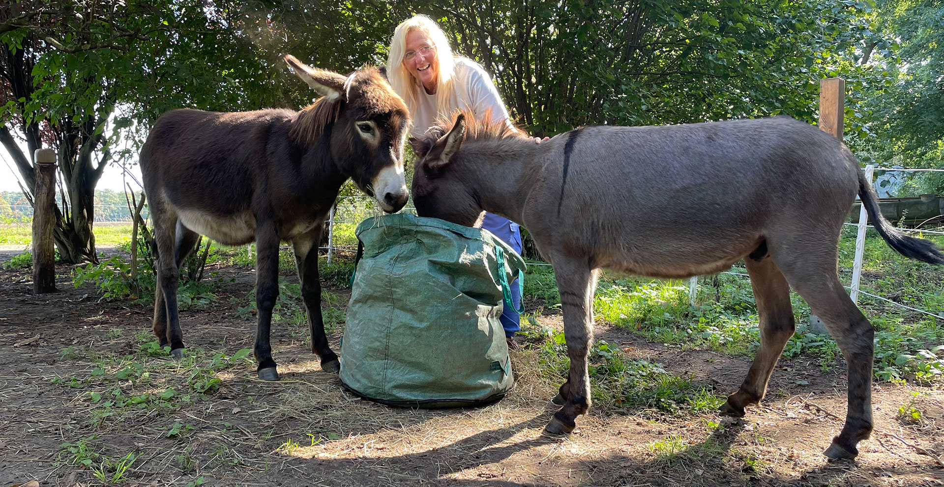 Kostüm Esel Kinder Esel-Kostüm Set 3-teilig - Ohren, Nase \u0026 Schwanz Für  Junggesellenabschied Kostümzubehör Erwachsene, image size:1920x992